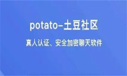 土豆聊天Potato