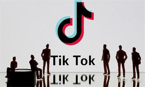 TikTok(国际版)