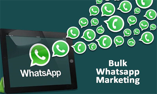 Whatsapp安卓版最新版2024