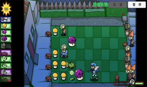 Pvz_SF版本最新