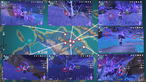原神天云草实快速采集路线 天云草实位置路线推荐