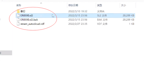 艾尔登法环存档位置在哪 存档文件名介绍