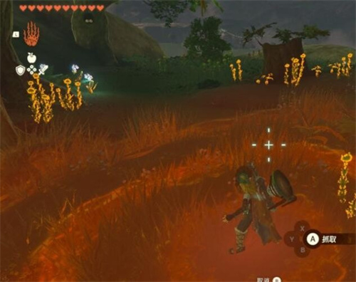 塞尔达传说王国之泪暖暖草果在哪采摘