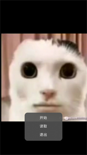 猫猫惊魂