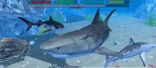 终极鲨鱼攻击截图2