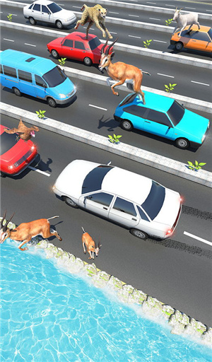 动物公路跳跃截图3