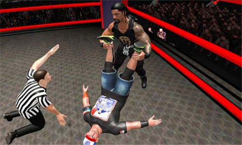 摔跤战斗进化3D截图3