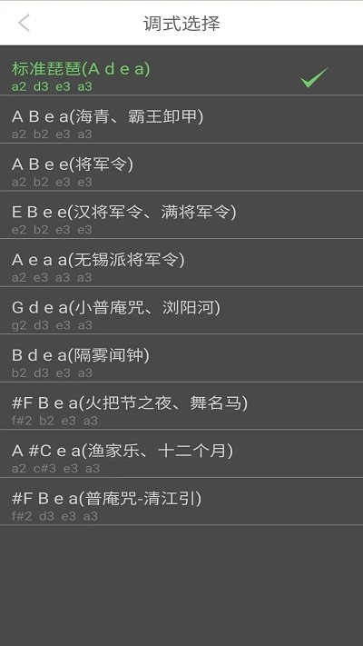 智能琵琶调音器app截图2