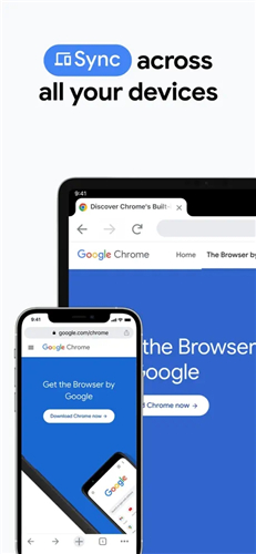 Chrome截图2