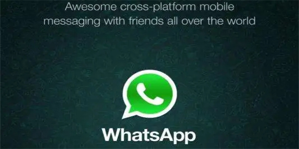 Whatsapp汉化版2024手机安卓版大全