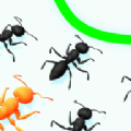 蚂蚁的突袭战
