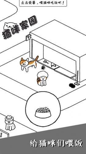 猫咪家园游戏